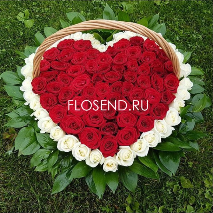 101 красная и белая роза в форме сердца в корзине