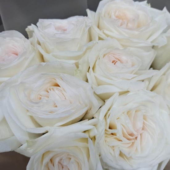 Букет «Белых пионовидных роз» - фото 3