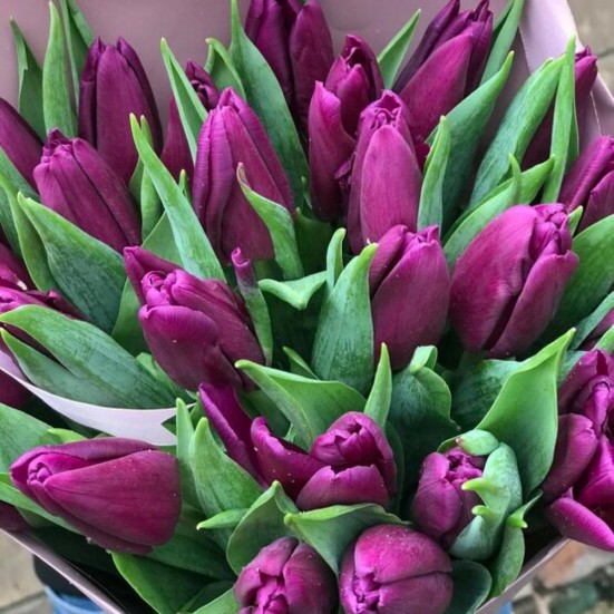 Букет «19 фиолетовых тюльпанов» - фото 4