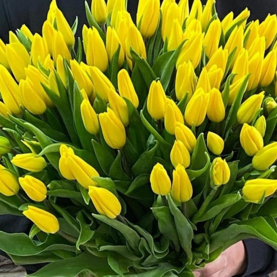 Букет «101 жёлтый тюльпан» - фото 6