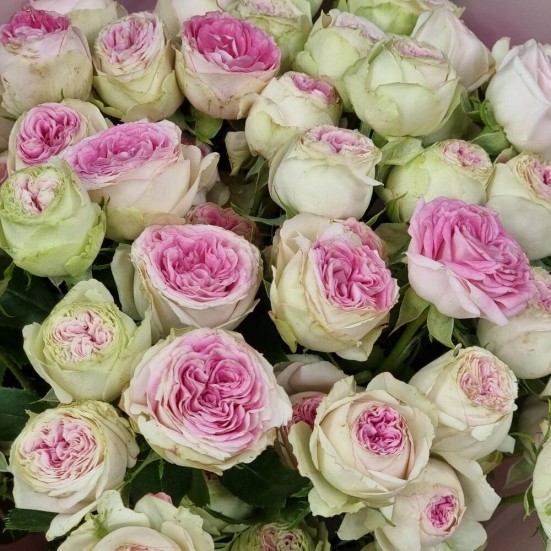 Букет «9 пионовидных кустовых роз» - фото 5